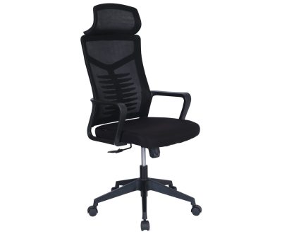 Quality Raymond High Back Office Chair