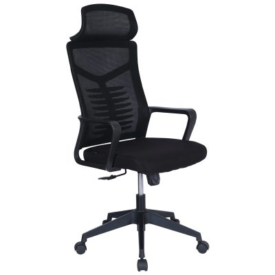 Quality Raymond High Back Office Chair