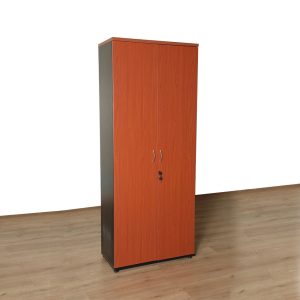 Wooden Filing Cabinet with 2 Doors