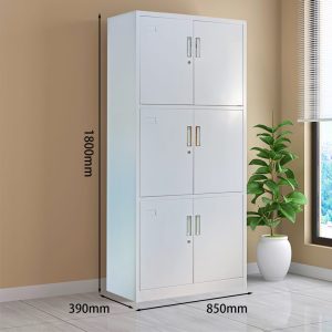 Secure 6-locker office cabinet in Kenya