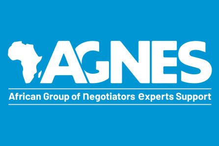 African Group of Negotiators Experts Support
