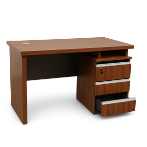 Neilan Furniture Shop in Kenya