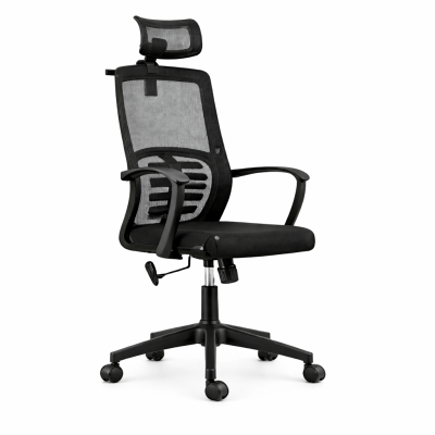Ergonomic Office Chair in Hot Sale
